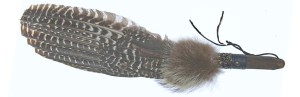 feather-fan